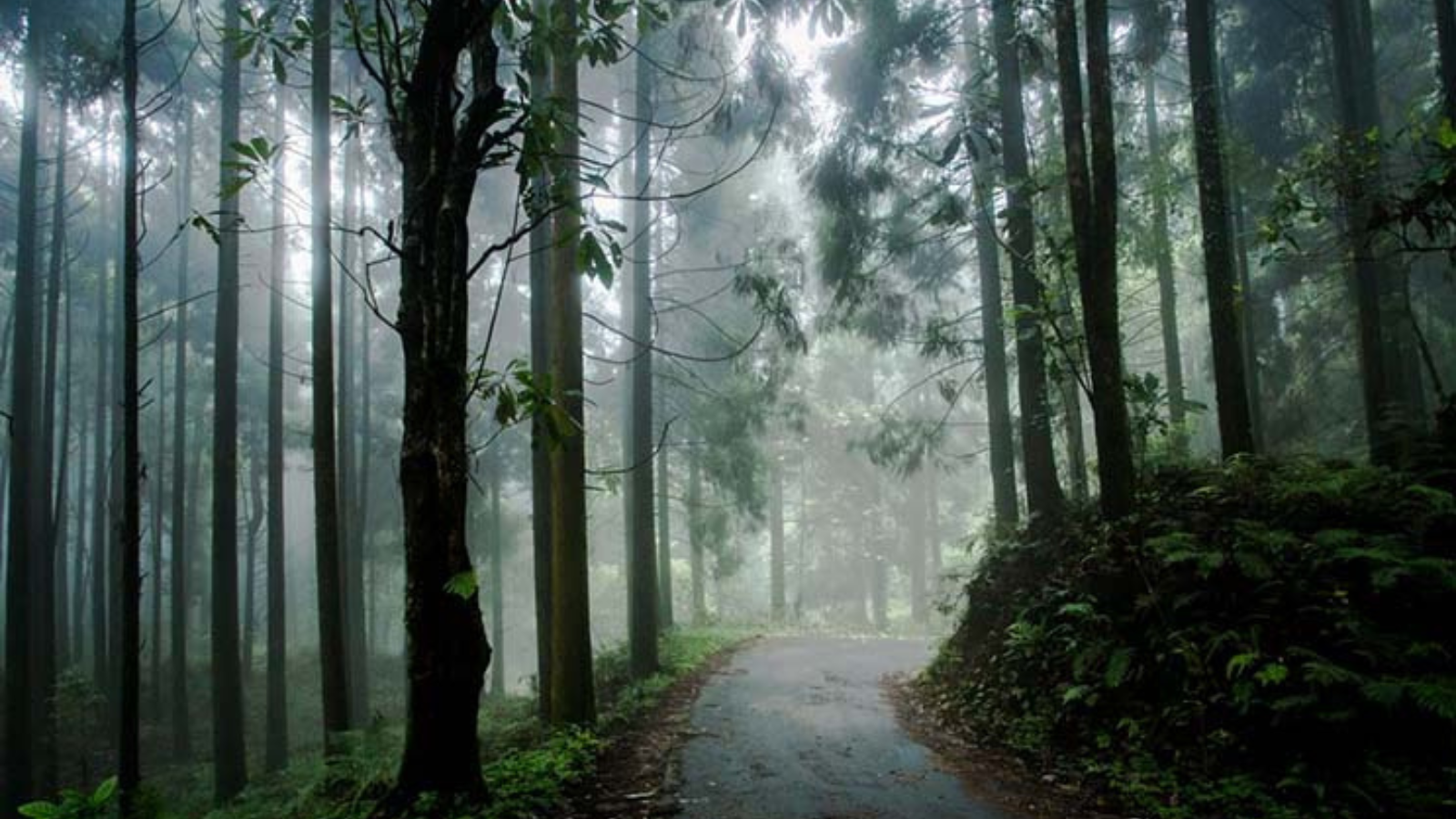 Kolakham Silent Valley