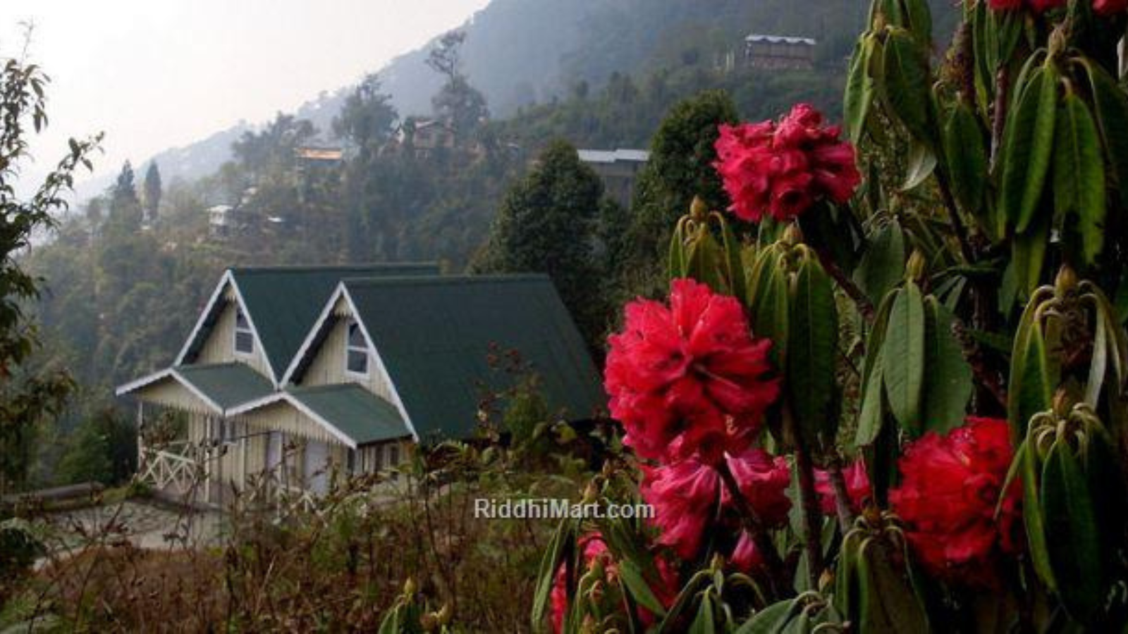 Kolakham Silent Valley